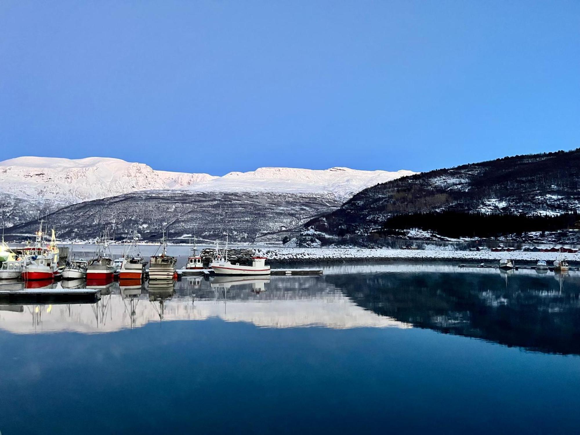 Manndalen Sjobuer Villa Samuelsberg Dış mekan fotoğraf